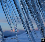 Icicles. Photo by Fred Pflughoft.