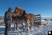 Team and sled. Photo by Arnold Brokling.