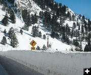 Hoback Canyon. Photo by Kaylynne Hyde.