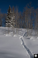 Snow trail. Photo by Arnold Brokling.