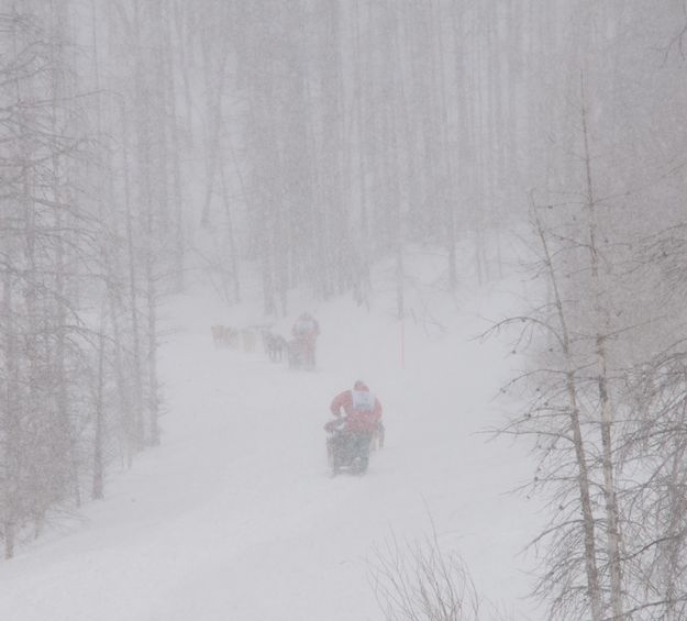 Snow storm. Photo by Chris Havener, Pedigree Stage Stop Race.