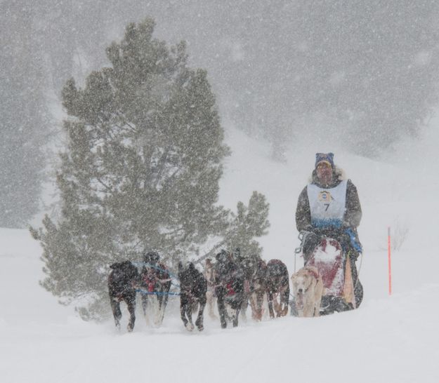 Bruce Magnusson. Photo by Chris Havener, Pedigree Stage Stop Race.