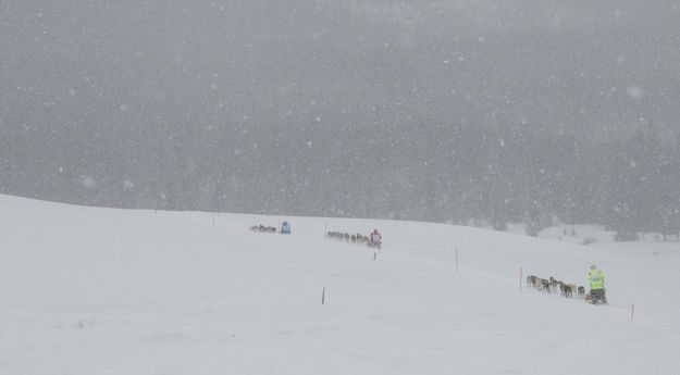 Off they go. Photo by Chris Havener, Pedigree Stage Stop Race.