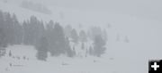 Snowy trail. Photo by Chris Havener, Pedigree Stage Stop Race.