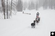 On the trail. Photo by Chris Havener, Pedigree Stage Stop Race.