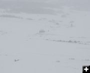 Alone in the wilderness. Photo by Chris Havener, Pedigree Stage Stop Race.