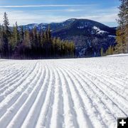 Corduroy. Photo by White Pine Resort.