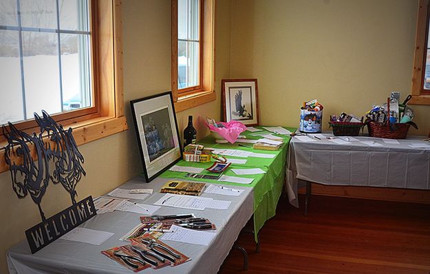 Silent Auction Table. Photo by Terry Allen.