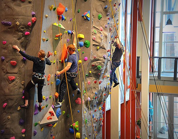 Three on a Wall. Photo by Terry Allen.