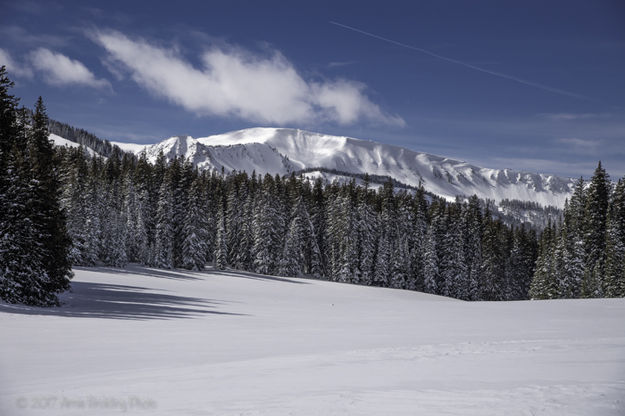 Untracked snow. Photo by Arnold Brokling.