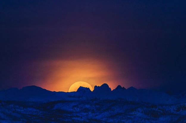 Moon Rise. Photo by Dave Bell.