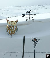 Snowy yard ornaments. Photo by Renee Smythe.