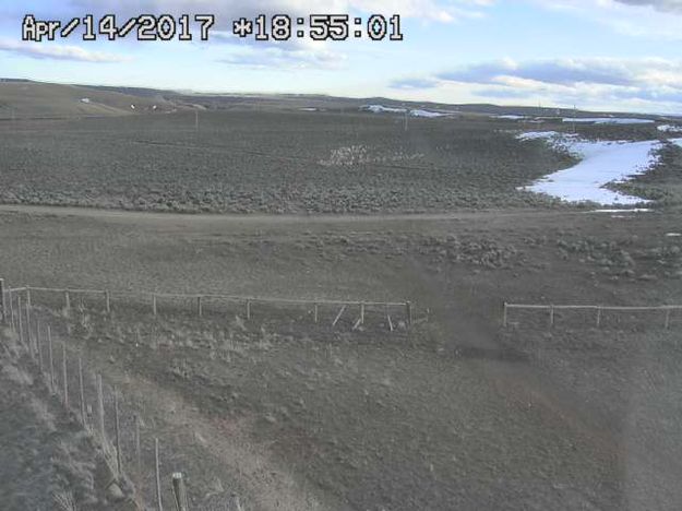 Big herd approaching. Photo by Trappers Point Wildlife Overpass webcam.