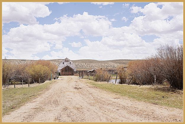 From Pasture to Barn. Photo by Terry Allen.