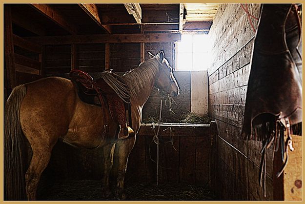 Branding Done, Horse Being Fed, Chaps Hung Up. Photo by Terry Allen.