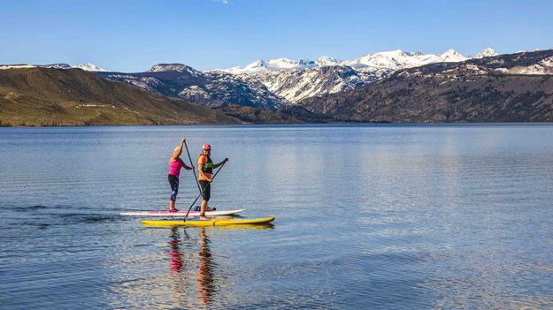 Paddle Boarders. Photo by Dave Bell.