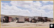 Tying Up at Horse Trailers Before Lunch. Photo by Terry Allen.