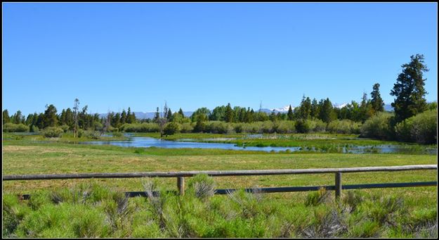 Lower Boyd Skinner Park. Photo by Terry Allen.