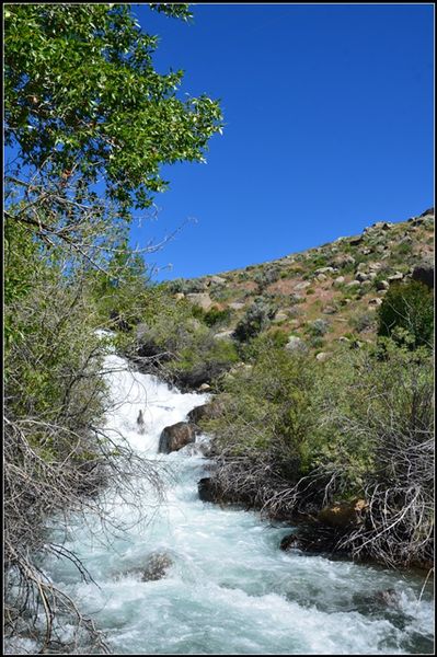Irrigation Ditch Falls. Photo by Terry Allen.