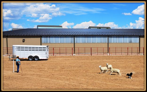 Loreli Judd from Coleville. Photo by Terry Allen.