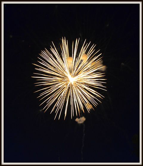 Fireworks. Photo by Terry Allen.