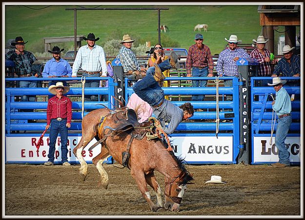 Following the Hat. Photo by Terry Allen.