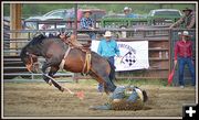 Have Some Dirt. Photo by Terry Allen.