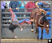 Trying to Land on All Four's. Photo by Terry Allen.