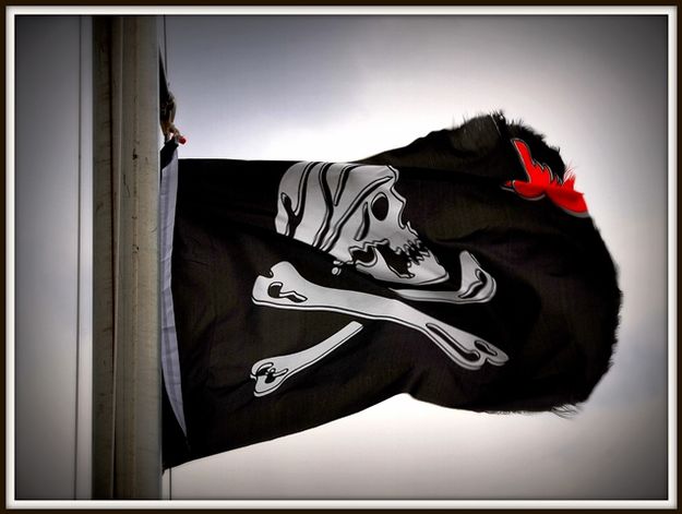 There are Pirates About. Photo by Terry Allen.