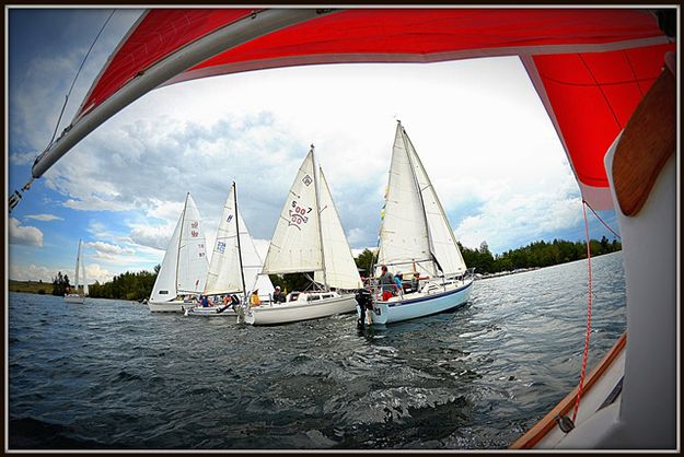 Under Sail. Photo by Terry Allen.