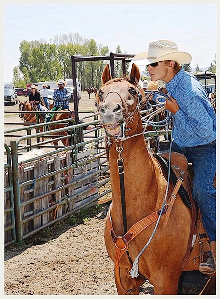 Going After the Steer. Photo by Terry Allen.