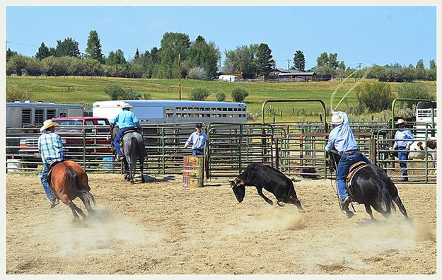 Bucking Heel. Photo by Terry Allen.