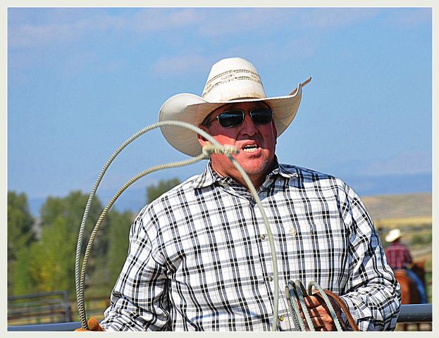 A Good Holler Moves Steers Along. Photo by Terry Allen.