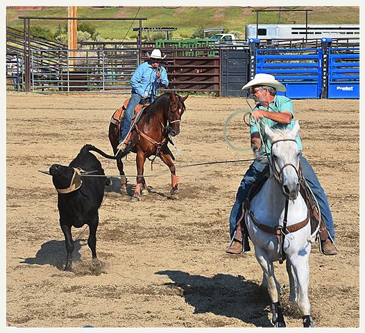 Roped Securely. Photo by Terry Allen.