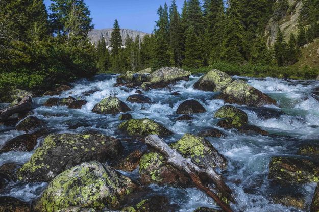 Pole Creek. Photo by Dave Bell.