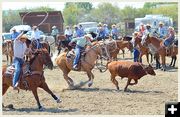 Heading. Photo by Terry Allen.