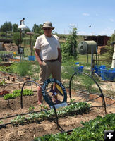 Dave & Patti Rachich garden. Photo by Sage & Snow Garden Club.