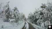 Boulder Basin Road. Photo by James Thomas.