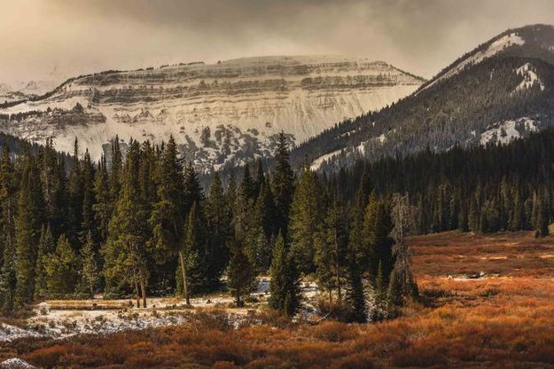 Up Cottonwood. Photo by Dave Bell.