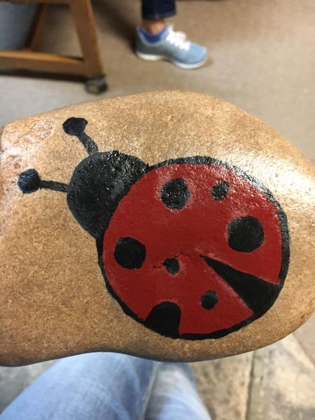 Lady bug. Photo by Pinedale Rocks.