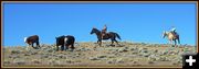 Libby and Lacey. Photo by Terry Allen.