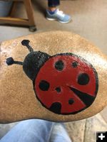 Lady bug. Photo by Pinedale Rocks.