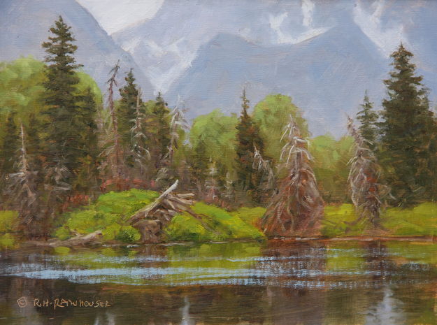 Snake River Beaver Lodge. Photo by Ruth Rawhouser.