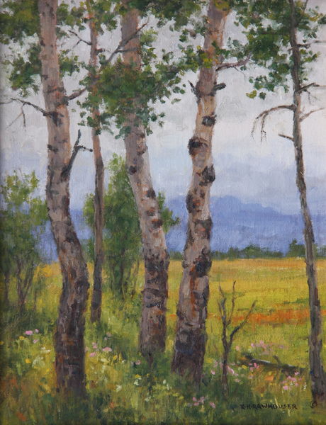 Summer Aspens. Photo by Ruth Rawhouser.