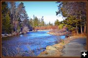 Thru the Woods and Over the Creek. Photo by Terry Allen.