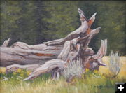 Old Tree Stump. Photo by https://www.ruthrawhouser.com/.