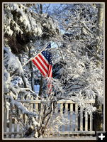 Old Glory. Photo by Terry Allen.