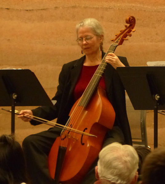 Carolyn Anderson Surrick. Photo by Dawn Ballou, Pinedale Online.