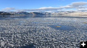 Starting to Freeze. Photo by Arnold Brokling.