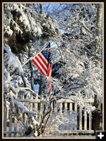 First Big Snow. Photo by Terry Allen.